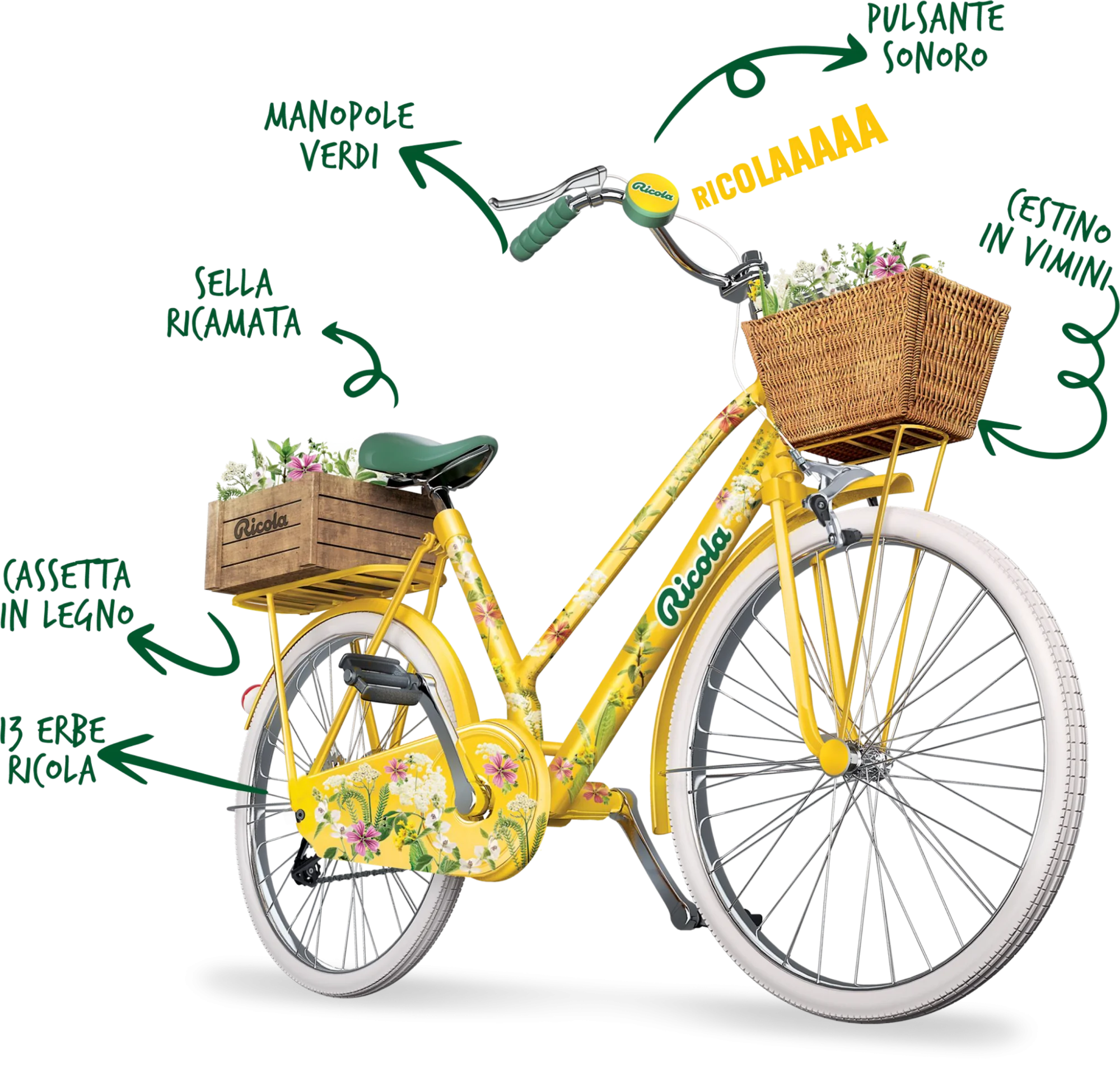 ricoletta con illustrazioni