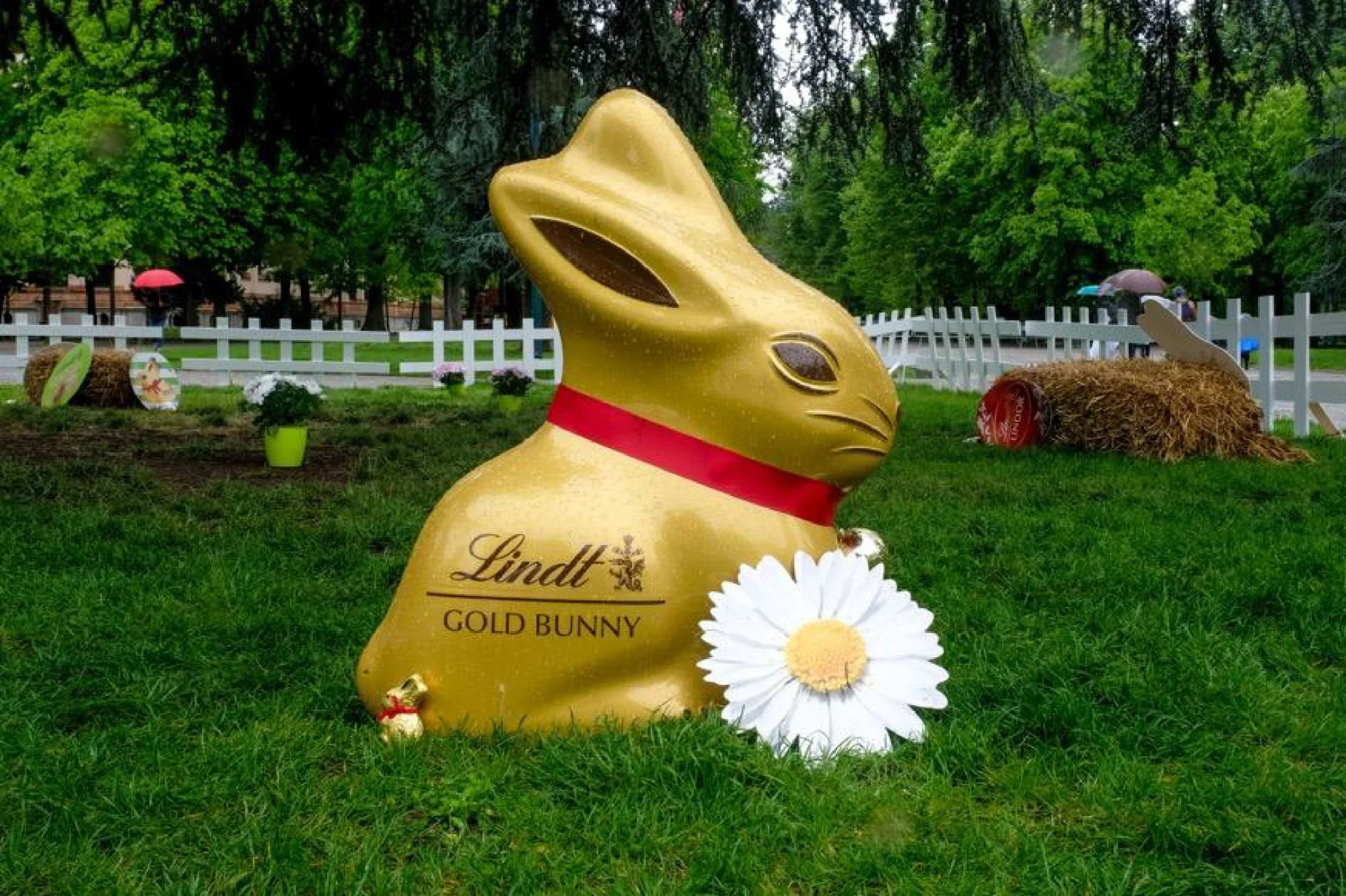 coniglio gold bunny all'evento di pasqua "caccia alle uova" Lindt